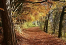 Herbstzeit ist Wanderzeit