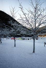 Erlaufsee im Winter