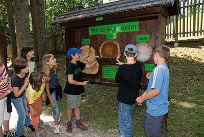 Erlebniswelt Holzknechtland Erlebniswelt Holzknechtland