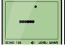 snake200907.jpg