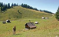 Wandern