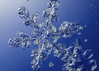Schneebericht