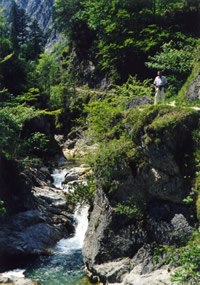 mitterbach2009-6.jpg mitterbach2009-6.jpg