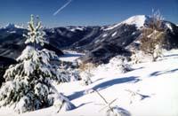 Winter Winter
