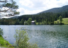 Walster