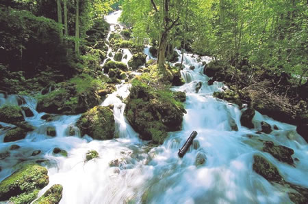 Hochschwabwasser von Wildalpen nach Graz und Wien Hochschwabwasser von Wildalpen nach Graz und Wien
