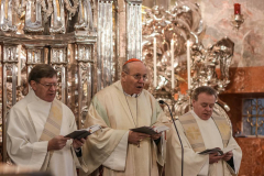 Festmesse mit Kardinal Christoph Schönborn - Foto: Basilika Mariazell, Anna Scherfler