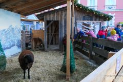 Mariazeller Advent 2024, erster Adventsonntag - Foto: Mariazell Online