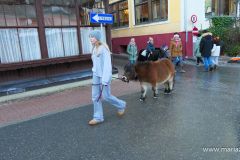 Mariazeller Advent 2024, erster Adventsonntag - Foto: Mariazell Online