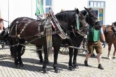 1. Österreichische Rosswallfahrt 2022 - Foto: Josef Kuss