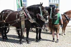 1. Österreichische Rosswallfahrt 2022 - Foto: Josef Kuss