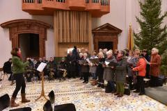 865. Gründungstag von Mariazell - Foto: Josef Kuss