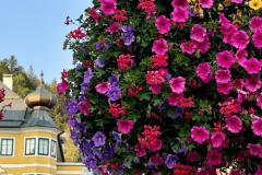 Abendkonzert \"Zwoa zu drei-Blos\", Foto: Ing. Franz Peter Stadler