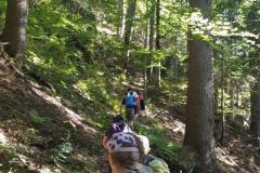 Wander- & Klettertag der 1. Klasse NMS Mariazell, Foto: Alpenverein Mariazellerland