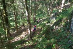 Wander- & Klettertag der 1. Klasse NMS Mariazell, Foto: Alpenverein Mariazellerland