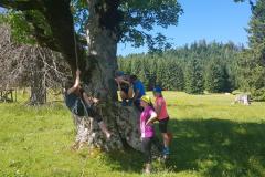 Wander- & Klettertag der 1. Klasse NMS Mariazell, Foto: Alpenverein Mariazellerland