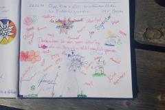 Wander- & Klettertag der 1. Klasse NMS Mariazell, Foto: Alpenverein Mariazellerland