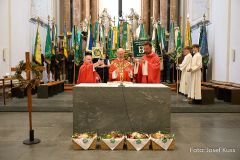 NÖ Bauerbundwallfahrt 2025 - Foto: Josef Kuss NÖ Bauerbundwallfahrt 2025 - Foto: Josef Kuss