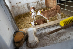 Feldbauerhof © Alexander Danner-LK Steiermark