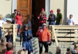 Bauernmarkt 2016