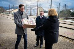 Weihnachtsbaum für das Europaparlament - Foto: www.different-marketing.at