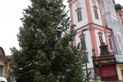 Der Christbaum steht wieder - Foto: Josef Kuss Der Christbaum steht wieder - Foto: Josef Kuss