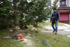 Der Christbaum steht wieder - Foto: Josef Kuss Der Christbaum steht wieder - Foto: Josef Kuss