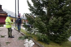 Der Christbaum steht wieder - Foto: Josef Kuss Der Christbaum steht wieder - Foto: Josef Kuss