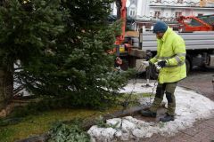 Der Christbaum steht wieder - Foto: Josef Kuss Der Christbaum steht wieder - Foto: Josef Kuss