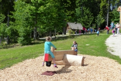 Zugsägenwippe
