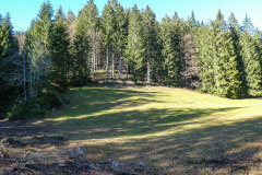 Auf die Bichleralpe - Foto: Mariazell Online