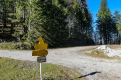 Auf die Bichleralpe - Foto: Mariazell Online Auf die Bichleralpe - Foto: Mariazell Online