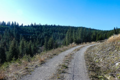 Auf die Bichleralpe - Foto: Mariazell Online Auf die Bichleralpe - Foto: Mariazell Online