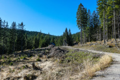 Auf die Bichleralpe - Foto: Mariazell Online Auf die Bichleralpe - Foto: Mariazell Online