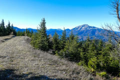 Auf die Bichleralpe - Foto: Mariazell Online Auf die Bichleralpe - Foto: Mariazell Online