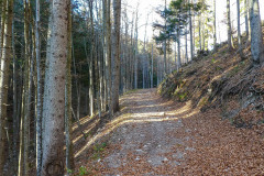 Auf die Bichleralpe - Foto: Mariazell Online Auf die Bichleralpe - Foto: Mariazell Online