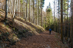 Auf die Bichleralpe - Foto: Mariazell Online