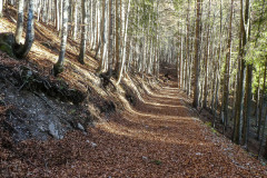Auf die Bichleralpe - Foto: Mariazell Online