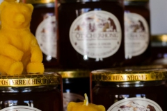 Foto: Mariazeller Land GmbH/Anna Scherfler