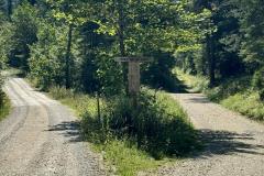 Brunngraben - Foto: Ing. Franz-Peter Stadler