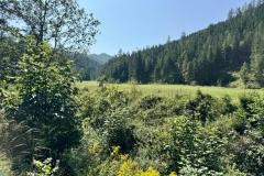 Brunngraben - Foto: Ing. Franz-Peter Stadler