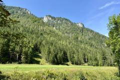 Brunngraben - Foto: Ing. Franz-Peter Stadler