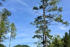 Brunngraben - Foto: Ing. Franz-Peter Stadler