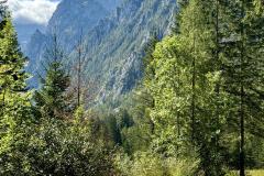 Brunntal - Brunnsee - Spaziergang - Foto: Franz Peter Stadler