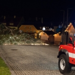 Christbaum umgestürzt - Foto: Josef Kuss