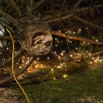 Christbaum umgestürzt - Foto: Josef Kuss