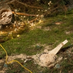 Christbaum umgestürzt - Foto: Josef Kuss