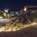 Christbaum umgestürzt - Foto: Josef Kuss