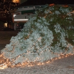 Christbaum umgestürzt - Foto: Josef Kuss