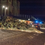 Christbaum umgestürzt - Foto: Josef Kuss